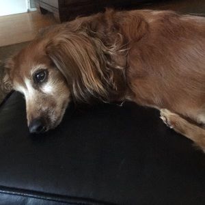 Meet your Posher, Nancy